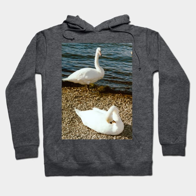 Swan song Hoodie by tomg